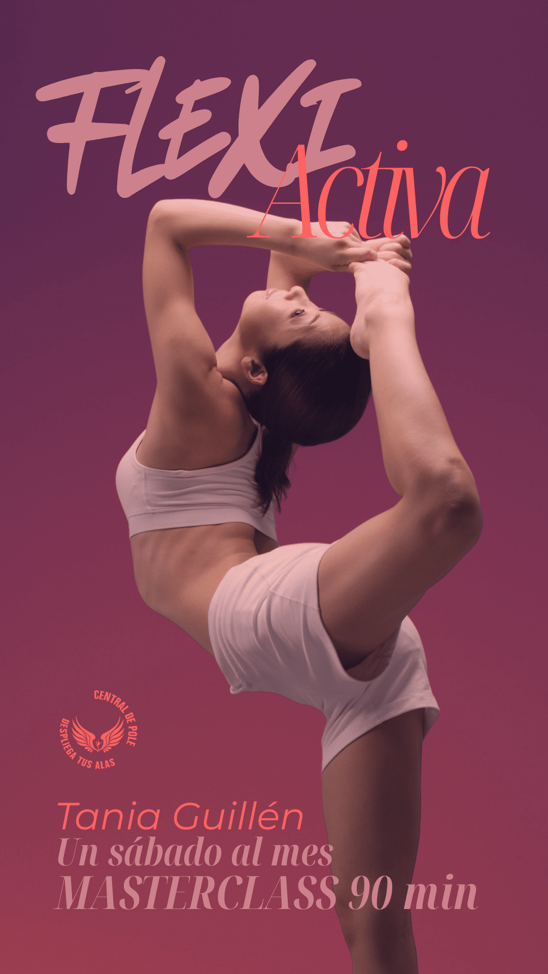 Masterclass Flexibilidad