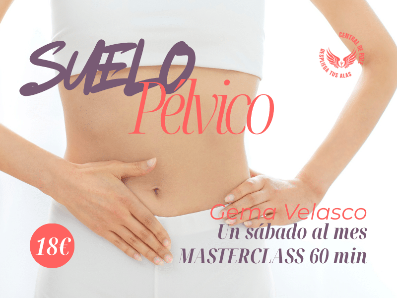 SUELO PELVICO